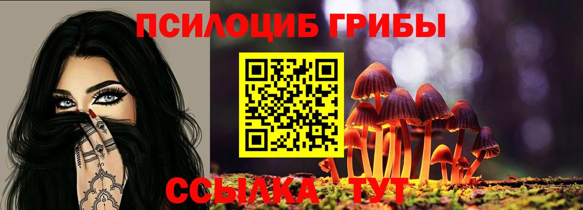 Галлюциногенные грибы Psilocybine cubensis Удомля