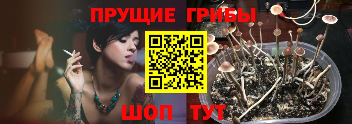 Псилоцибиновые грибы Psilocybe  Галлюциногенные грибы ЛСД  Удомля  Вход с VPN 